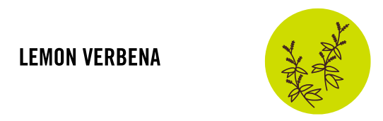 Mrs. Meyer's Singapore