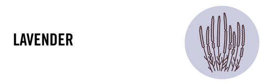 Mrs. Meyer's Singapore