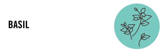 Mrs. Meyer's Singapore