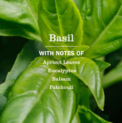 Liquid Laundry Basil 1.8L
