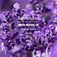 Fabric Softener Lavender 946ml
