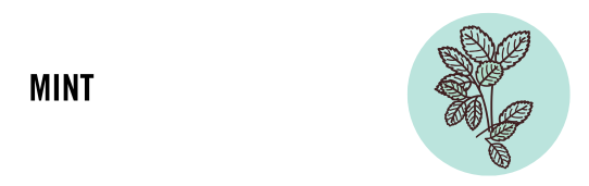 Mrs. Meyer's Singapore