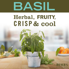 Liquid Dish Soap Basil 473ml