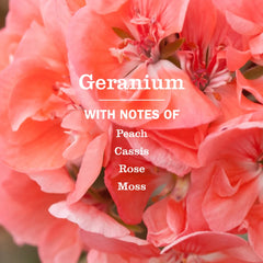 Multi Surface Cleaner Geranium 473ml