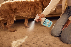 Pet Stain & Odor Fighter Coconut Leaf 473ml