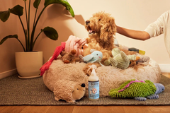 Pet Odor Neutralizer Coconut Leaf 355ml