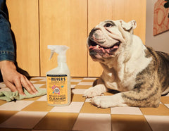 Pet Multi-Surface Cleaner Orange Blossom