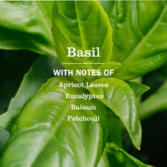 Multi-Surface Cleaner Basil 473ml