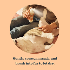Dog Deodorizing Spritz White Peach 236ml