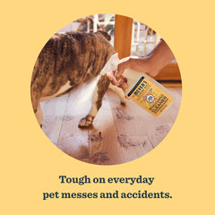 Pet Multi-Surface Cleaner Orange Blossom