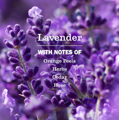 Dryer Sheets Lavender 80ct