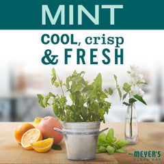 Liquid Dish Soap Mint 473ml