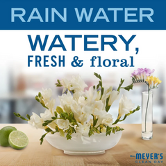 Liquid Hand Soap Rain Water 370ml