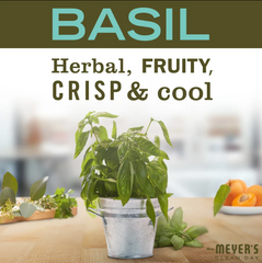 Hand Lotion Basil 354ml