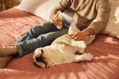 Dog Deodorizing Spritz White Peach 236ml