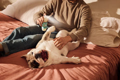 Dog Deodorizing Spritz Sweet Chamomile 236ml