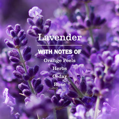 Multi-Surface Cleaner Lavender 473ml
