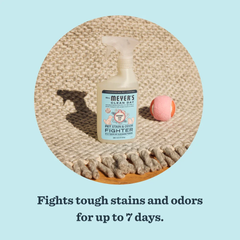 Pet Stain & Odor Fighter Coconut Leaf 473ml