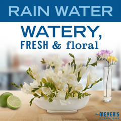 Hand Lotion Rain Water 354ml